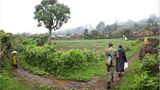 Fotogalerie: Der Batwa-Trail - Bild 3