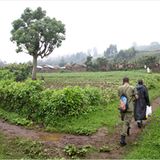 Fotogalerie: Der Batwa-Trail - Bild 3