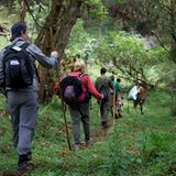 Fotogalerie: Der Batwa-Trail - Bild 6