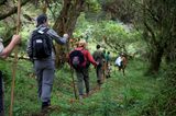Fotogalerie: Der Batwa-Trail - Bild 6