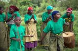 Fotogalerie: Der Batwa-Trail - Bild 8