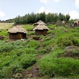 Fotogalerie: Der Batwa-Trail - Bild 10