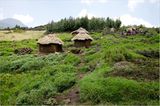 Fotogalerie: Der Batwa-Trail - Bild 10