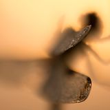 18-Jähriger wird Naturfotograf des Jahres! - Bild 7