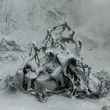 18-Jähriger wird Naturfotograf des Jahres! - Bild 12