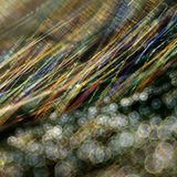 18-Jähriger wird Naturfotograf des Jahres! - Bild 13