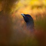 18-Jähriger wird Naturfotograf des Jahres! - Bild 14