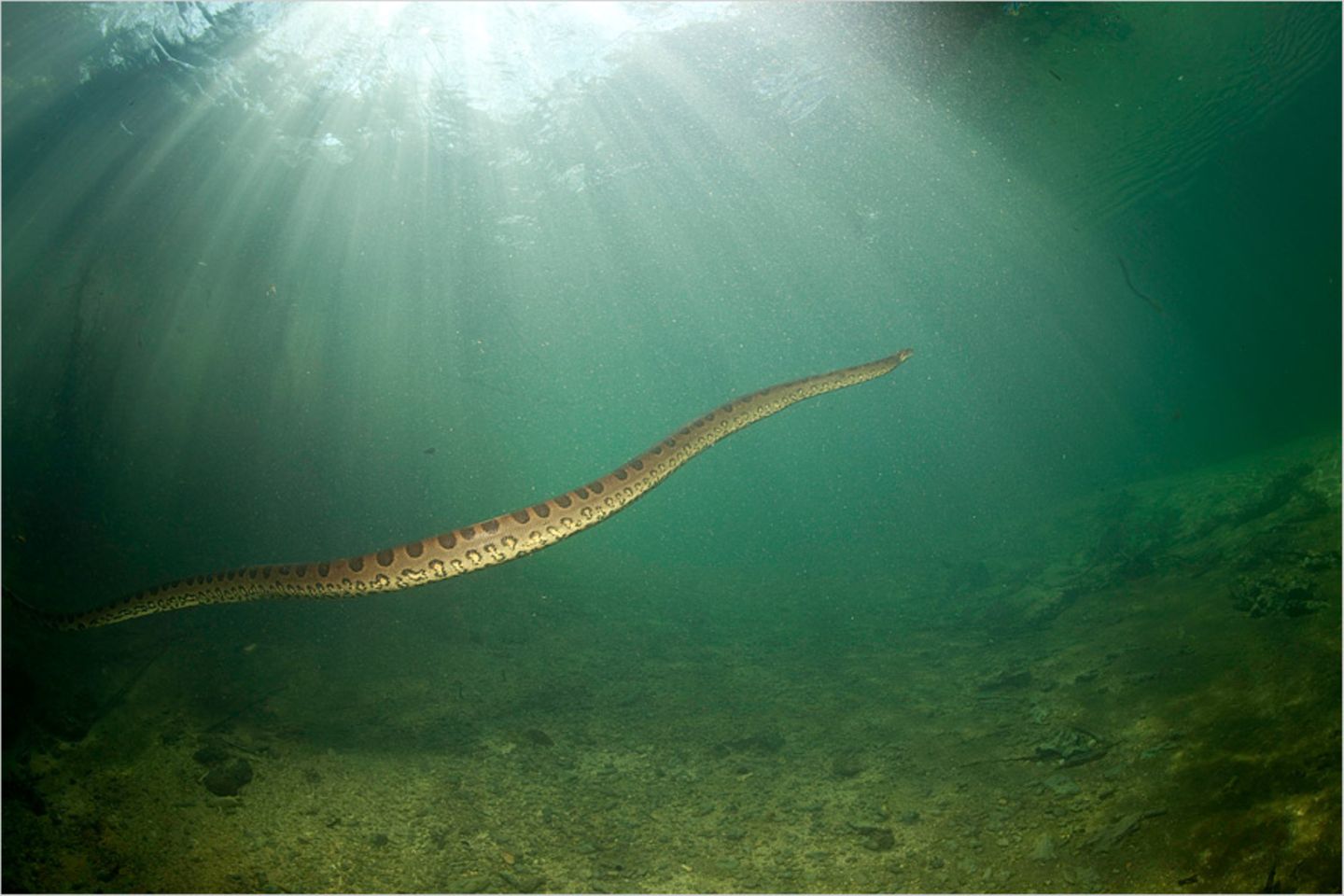 wassertauglich