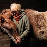 Ehrenkirchen-Scherzingen, Deutschland