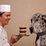 Bad Teinach-Zavelstein, Deutschland