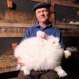 Freiburg, Deutschland