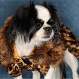 Lichtenau-Scherzheim, Deutschland