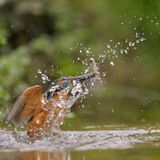 Sekundenentscheidung