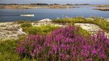 Fotogalerie: Landschaftwunder Schweden - Bild 8