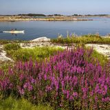 Fotogalerie: Landschaftwunder Schweden - Bild 8