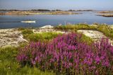 Fotogalerie: Landschaftwunder Schweden - Bild 8