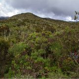 Fotogalerie: Hoch hinaus in Afrika