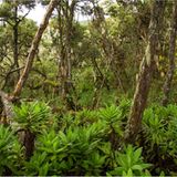 Fotogalerie: Hoch hinaus in Afrika - Bild 3