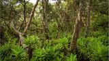 Fotogalerie: Hoch hinaus in Afrika - Bild 3