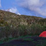 Fotogalerie: Hoch hinaus in Afrika - Bild 4