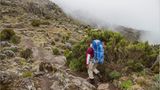 Fotogalerie: Hoch hinaus in Afrika - Bild 5