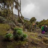 Fotogalerie: Hoch hinaus in Afrika - Bild 6