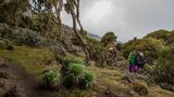 Fotogalerie: Hoch hinaus in Afrika - Bild 6