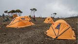 Fotogalerie: Hoch hinaus in Afrika - Bild 7