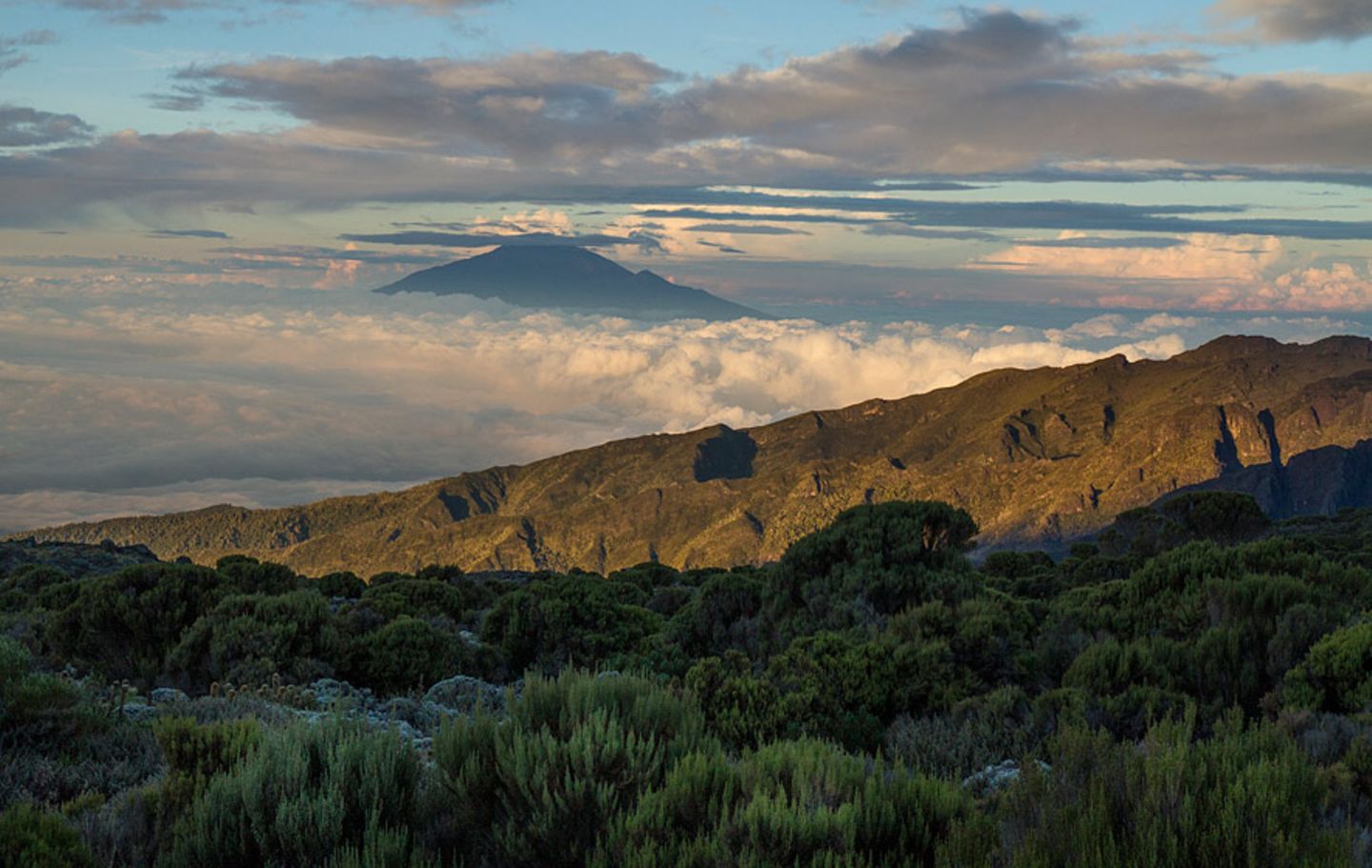 Fotogalerie: Hoch hinaus in Afrika - Bild 9
