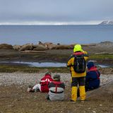 Walrossherde auf der Insel Lågøya
