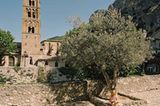 Fotogalerie: Fotogalerie: Dorfschönheiten - Bild 2