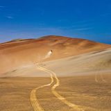 Paracas National Reserve