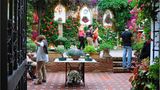 Patio-Festival