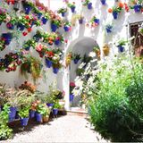 Siesta trotz Festival