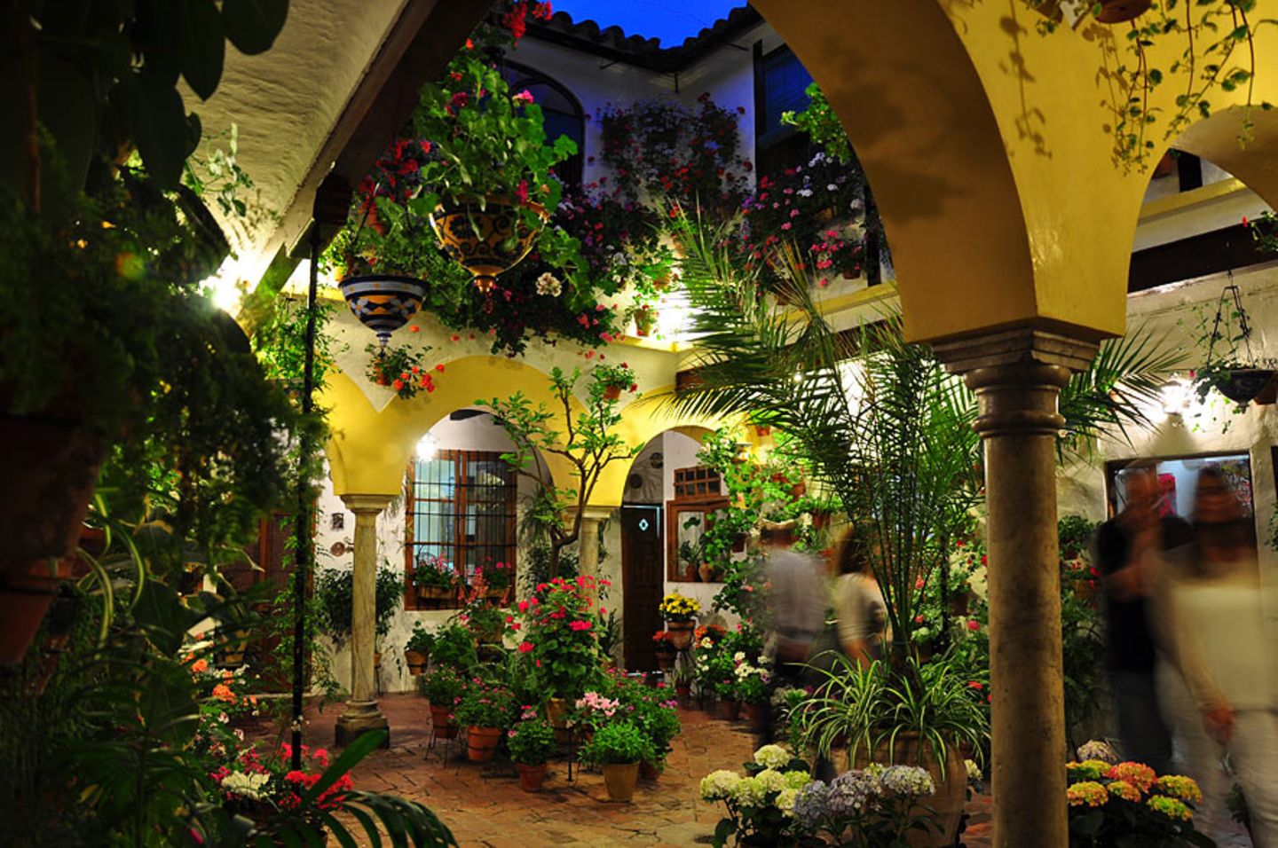 Patio bei Nacht
