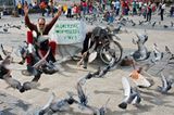 Fotogalerie: Mittelamerika nimmt Platz - Bild 8