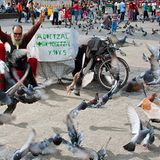 Fotogalerie: Mittelamerika nimmt Platz - Bild 8