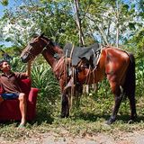 Fotogalerie: Mittelamerika nimmt Platz - Bild 9