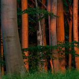 Nationalpark Jasmund