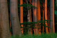 Nationalpark Jasmund