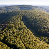 Nationalpark Kellerwald-Edersee