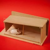 Erfinder: Erfindungen: Der Problem-Sammler - Bild 6