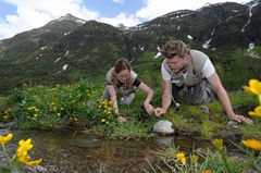 GEO-Tag der Artenvielfalt im Nationalpark Hohe Tauern 2013