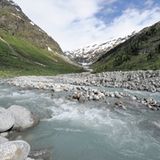GEO-Tag der Artenvielfalt im Nationalpark Hohe Tauern 2013