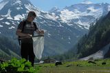GEO-Tag der Artenvielfalt im Nationalpark Hohe Tauern 2013