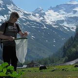 GEO-Tag der Artenvielfalt im Nationalpark Hohe Tauern 2013