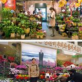 Blumenladen-Vergleich