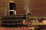 Coimbatore: Mahashivratri Pusa, Isha Ashram