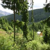 Eine Waisenstation für Bären - Bild 12