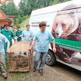 Eine Waisenstation für Bären - Bild 14